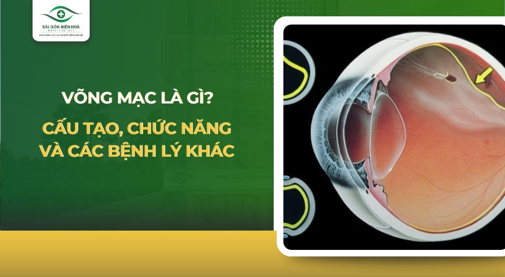 võng mạc là gì
