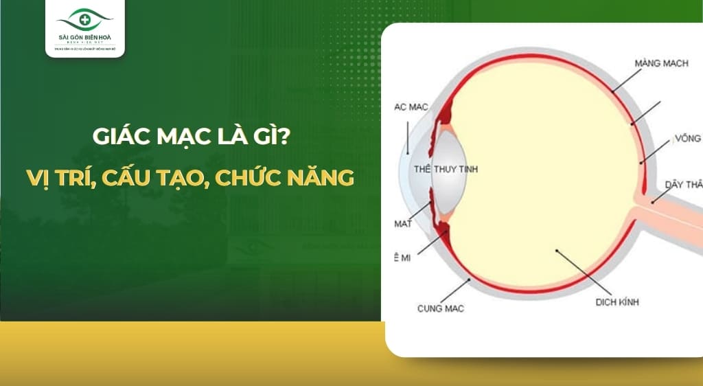 giác mạc