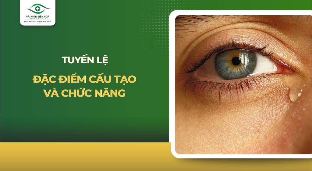 tuyến lệ