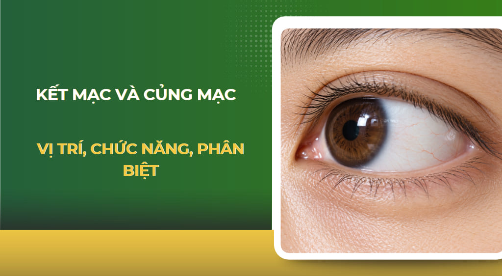 Kết mạc và củng mạc